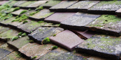 Castlefield roof repair costs